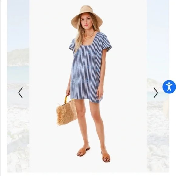 Tuckernuck Other - NWOT TUCKERNUCK Blue Stripe Mini Sullivan Embroidered Canvas Caftan